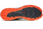 Salomon Sense Ride 4 Herren