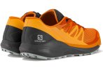 Salomon Sense Ride 4 Herren