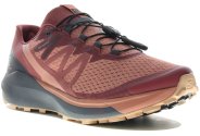 Salomon Sense Ride 4 W