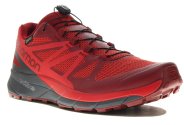 Salomon Sense Ride Gore-Tex Invisible Fit M
