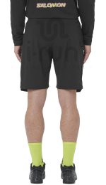 Salomon Wayfarer 2.0