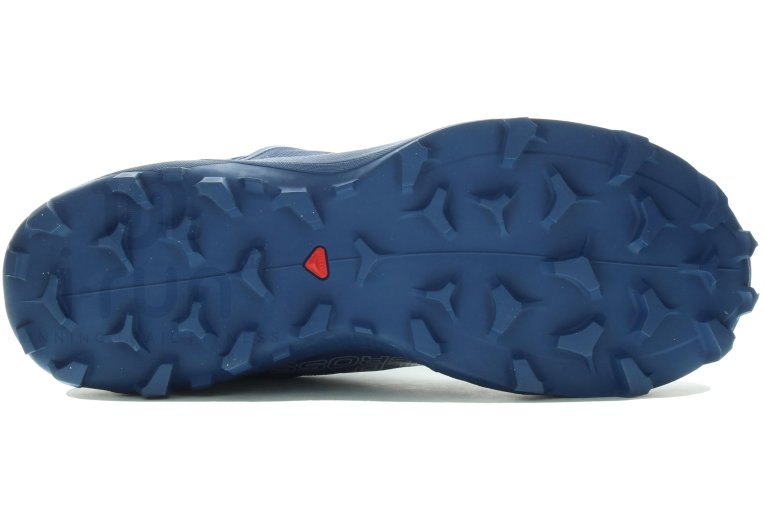 Salomon Wildcross Gore-Tex