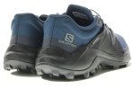 Salomon Wildcross Herren