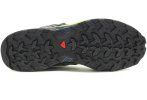 Salomon X Ultra 2 Gore-Tex
