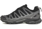 Salomon X Ultra 2 Gore-Tex