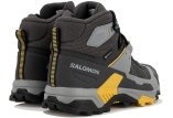 Salomon X Ultra 5 Mid Gore-Tex