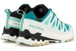 Salomon XA PRO 3D v9 Gore-Tex