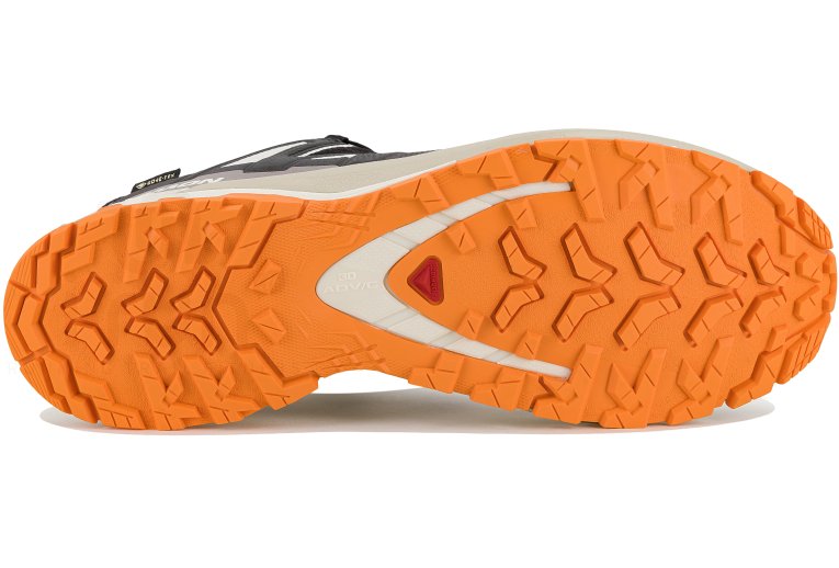 Salomon XA PRO 3D v9 Gore-Tex