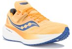 Saucony Triumph 20
