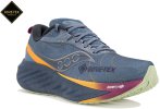 Saucony Triumph 22 Gore-Tex Damen