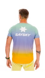 Saysky Reactive Flow