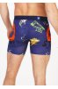Stance WholesterI Speak For The Trees Boxer Brief M 