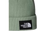 The North Face Salzig gestreift