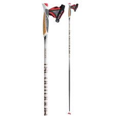 TSL Outdoor Bâtons de marche Tactil C100