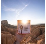 Voyager Lentils with ham and small vegetables