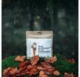 Voyager Pasta con quesos y champi�ones