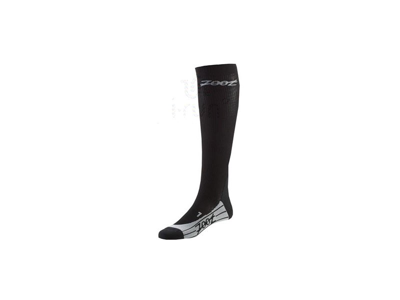 Zoot Short compression Performance M homme - Compression pas